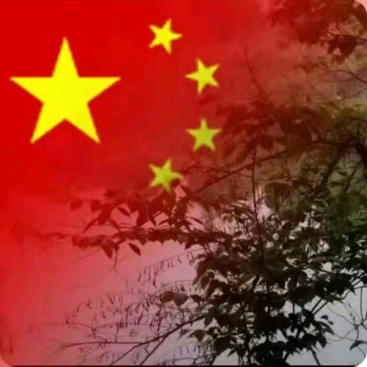 🚀深海