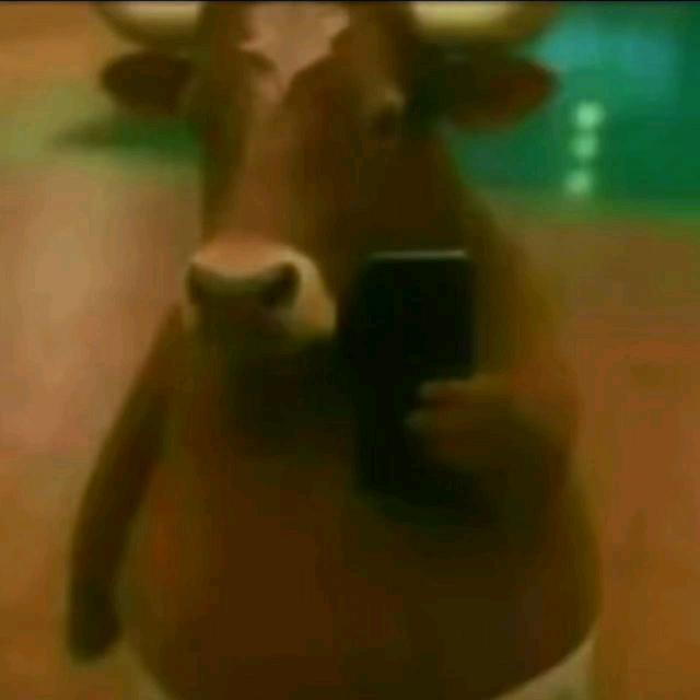 Cc