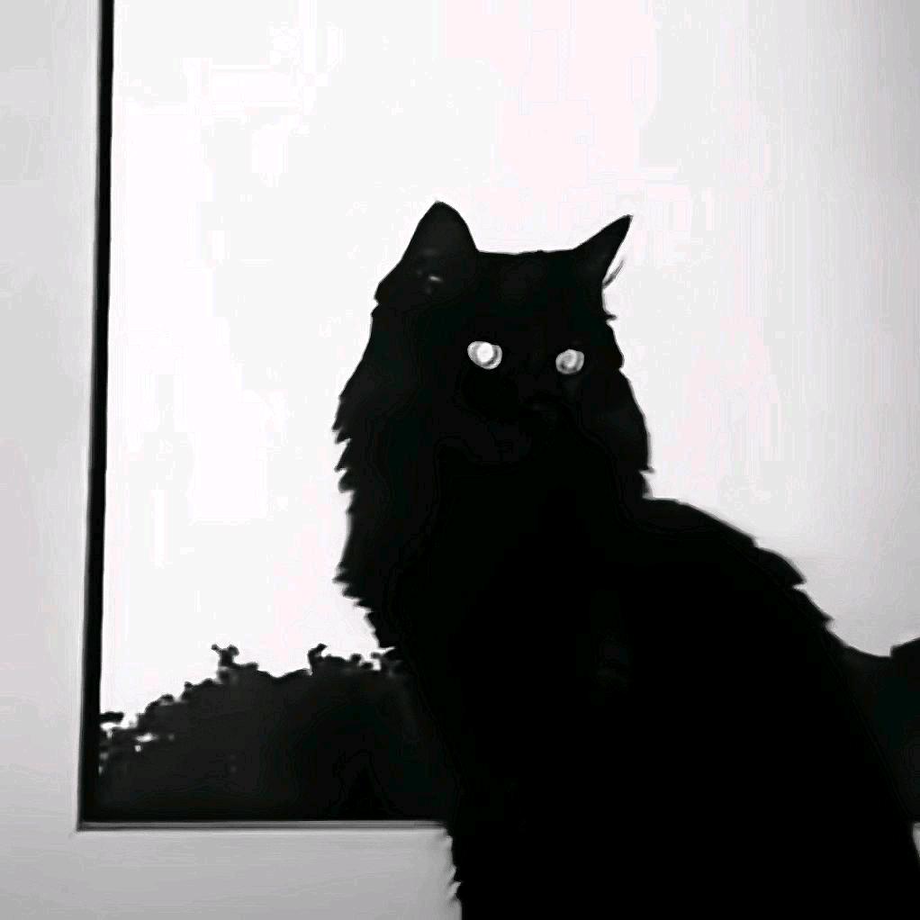 慢冷