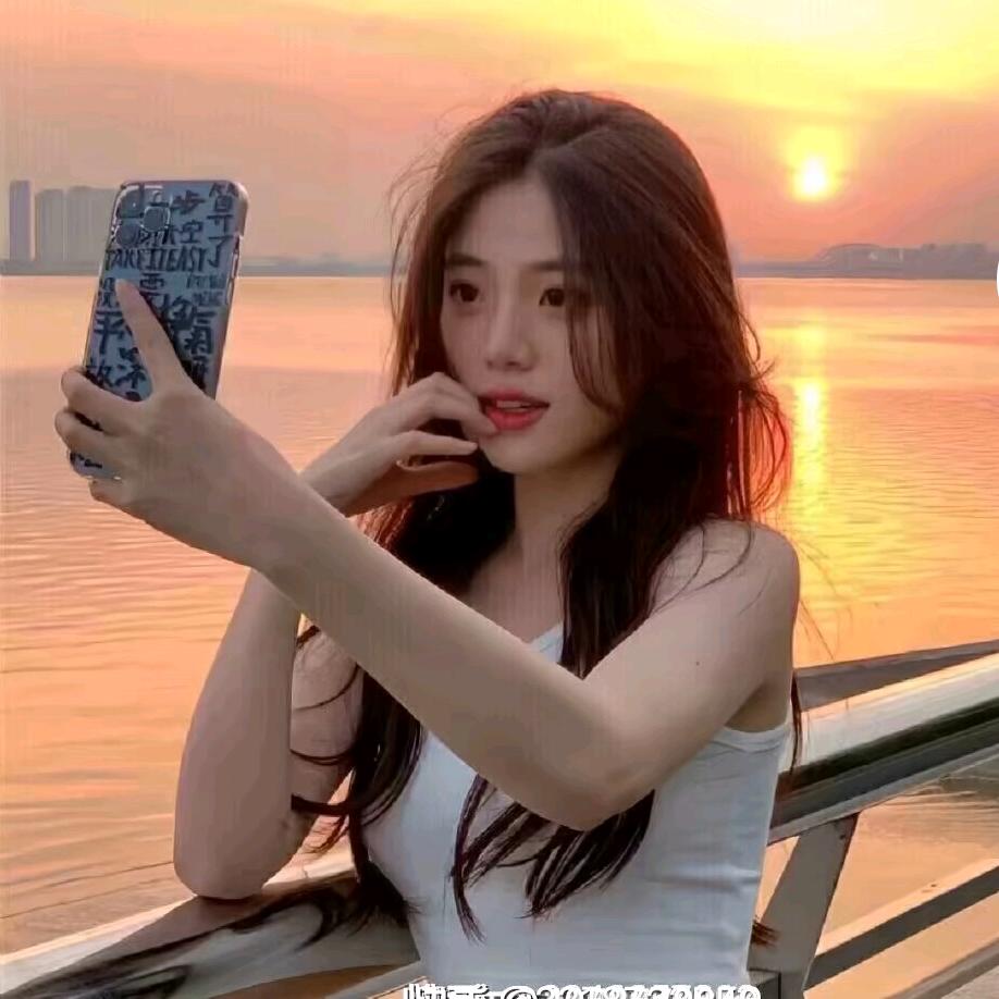 我是美丽的小野猫