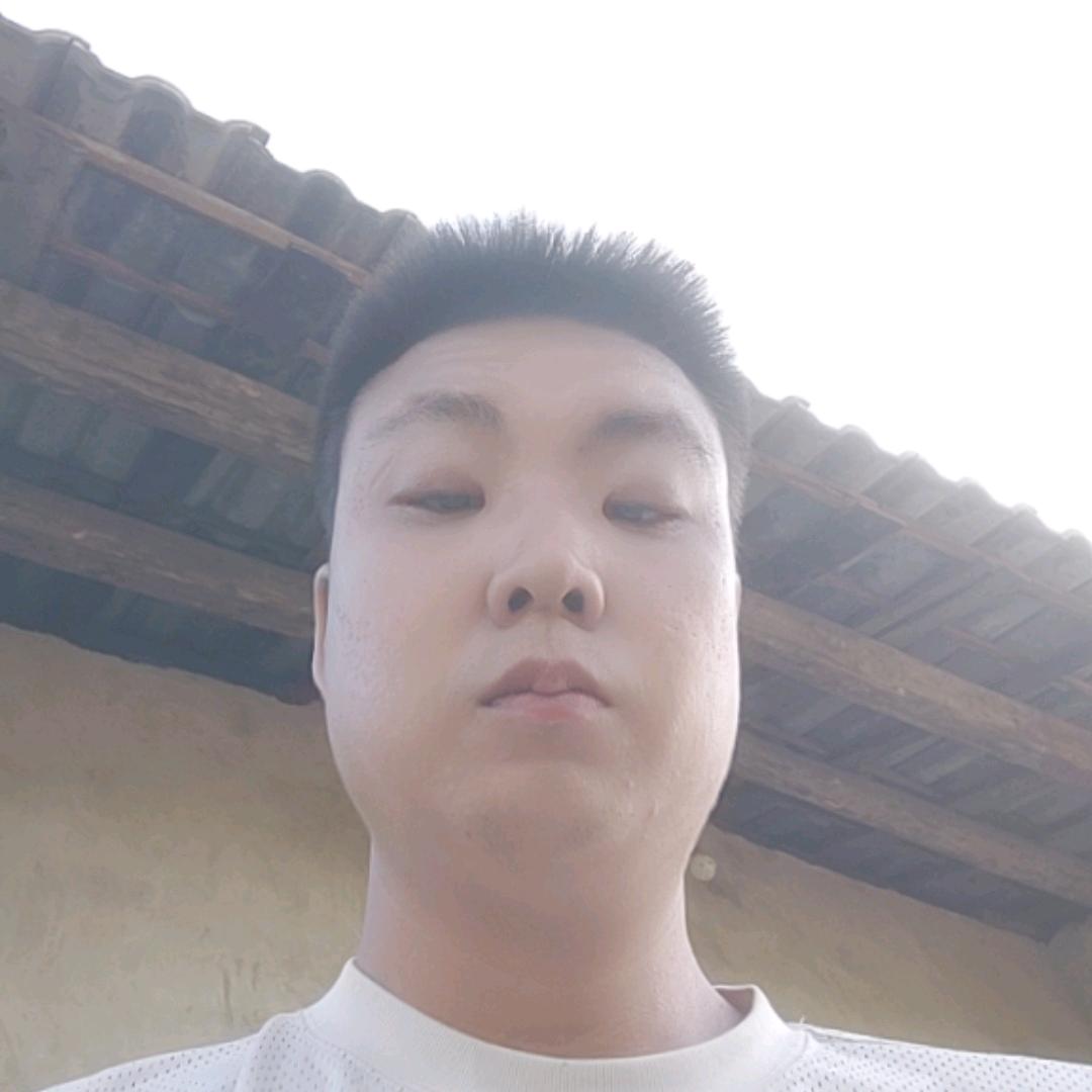 贾梦辉头像
