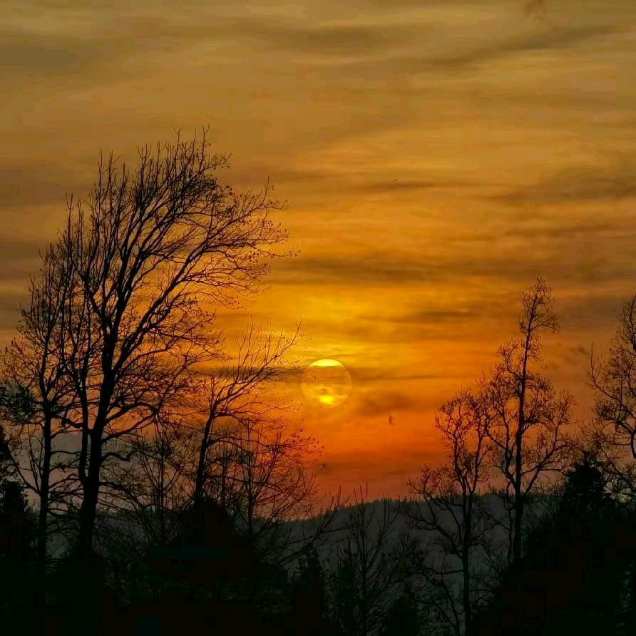 元阳多依树古茶树客栈