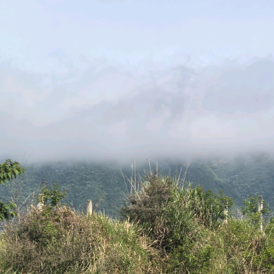 黔品出山
