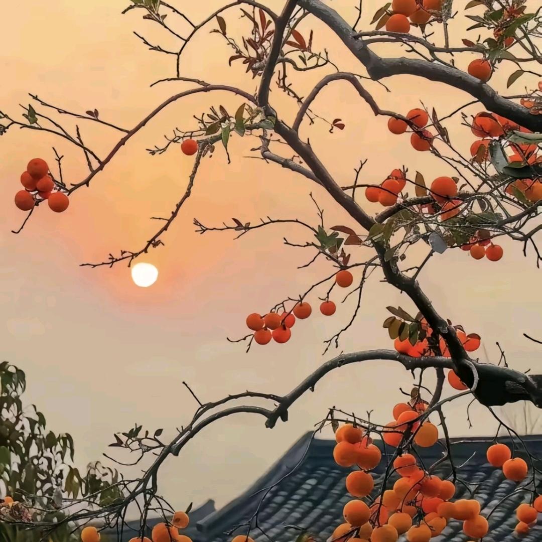 狂风