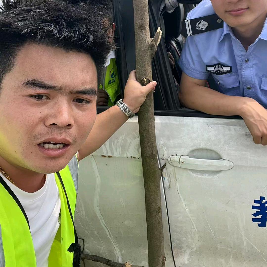 博达驾校湾哥驾考 轻松好搞