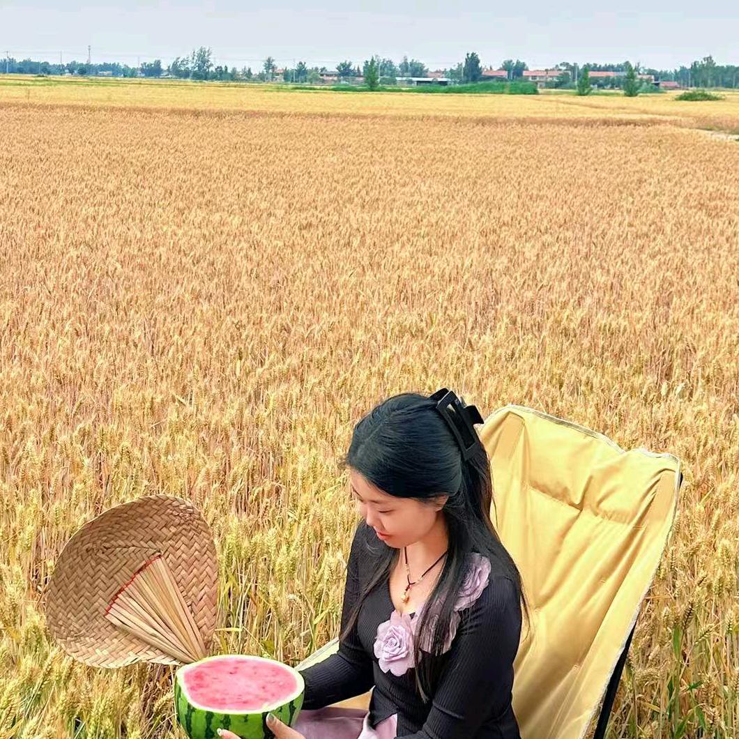 蔡   小蔡
