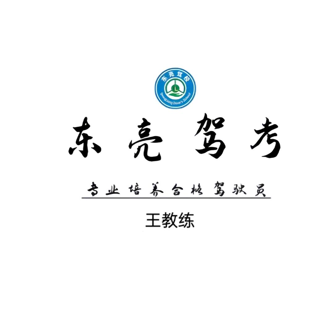 新疆玛纳斯东亮驾考王宇龙