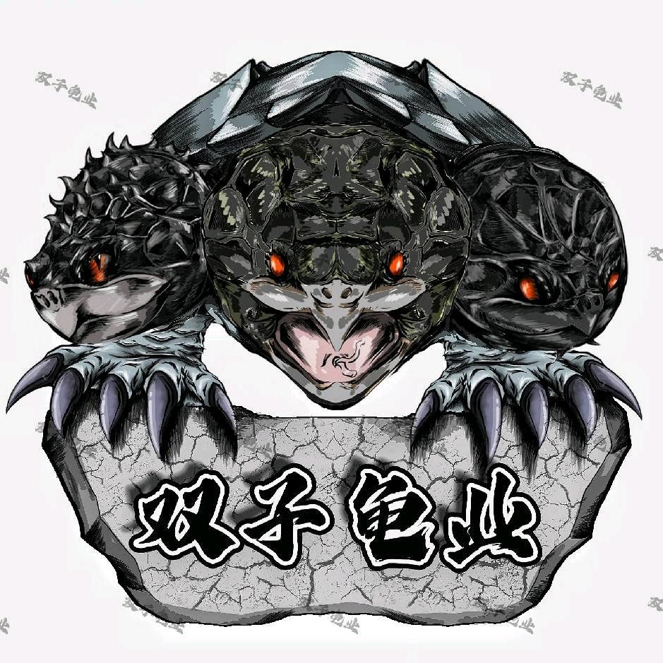 双子🐢阿杰（直播号）