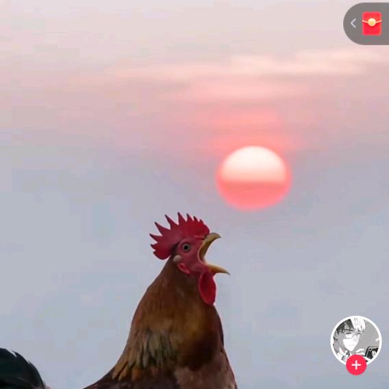 太美了