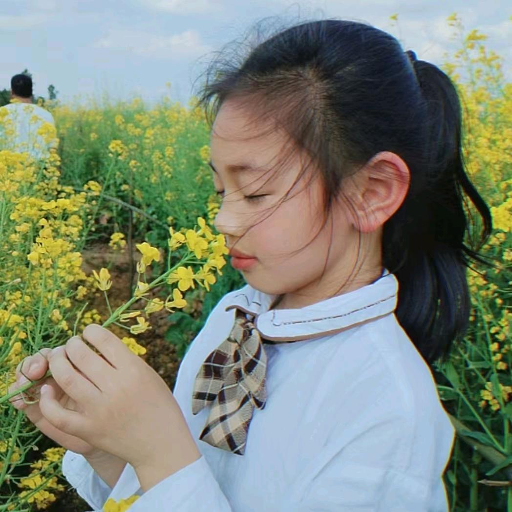 问鼎三国一鸿修尼艾