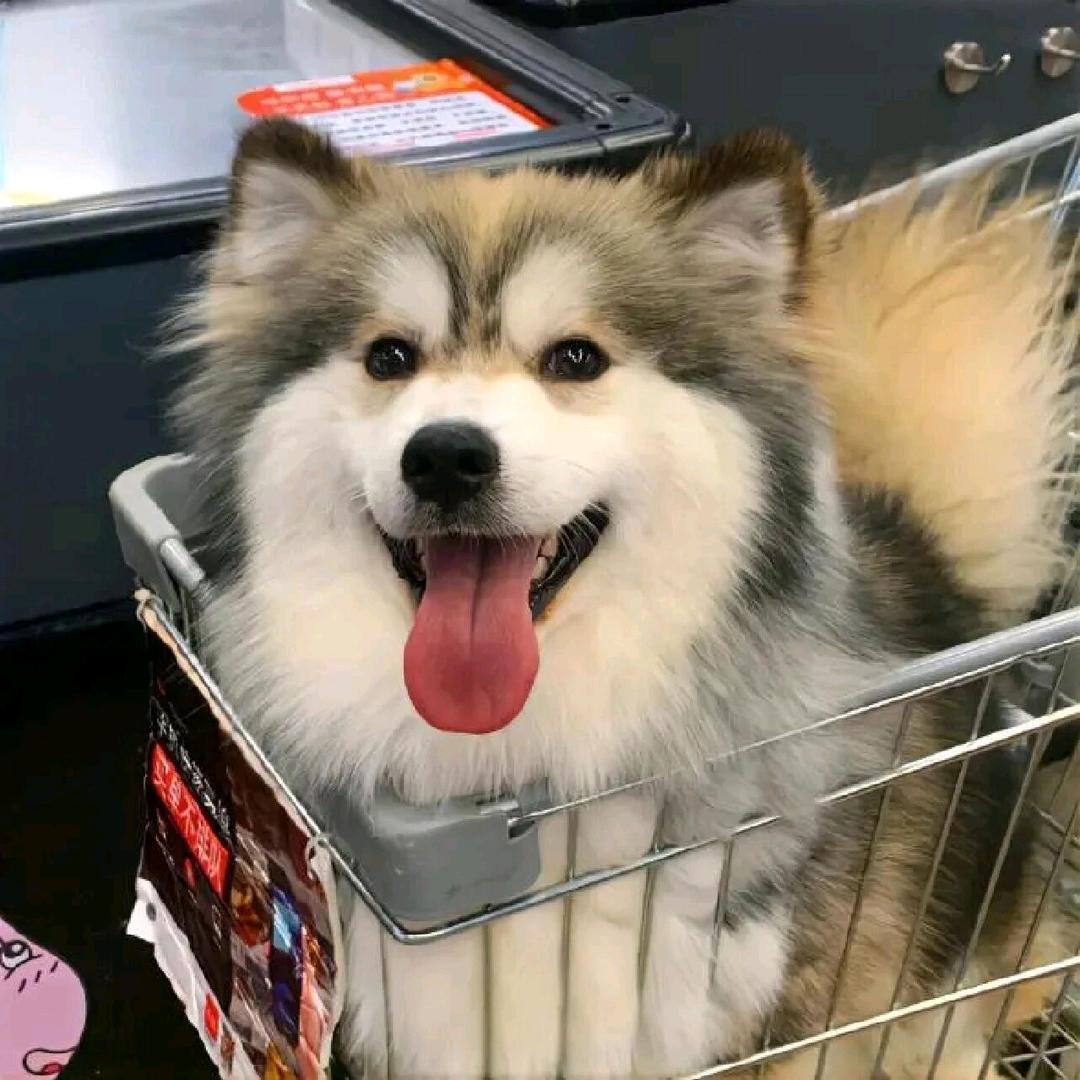 萱萱淘淘屋