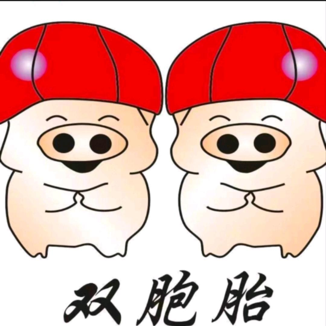 双胞胎642