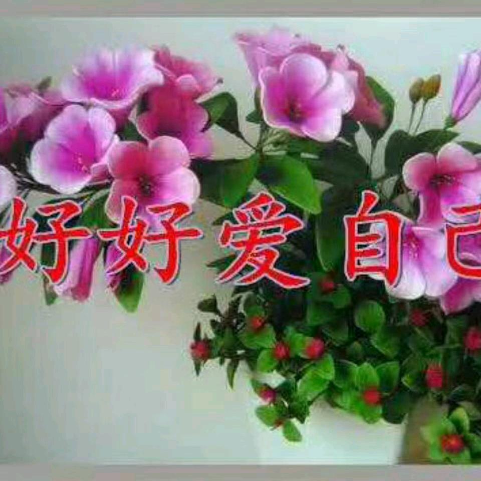 美丽家园