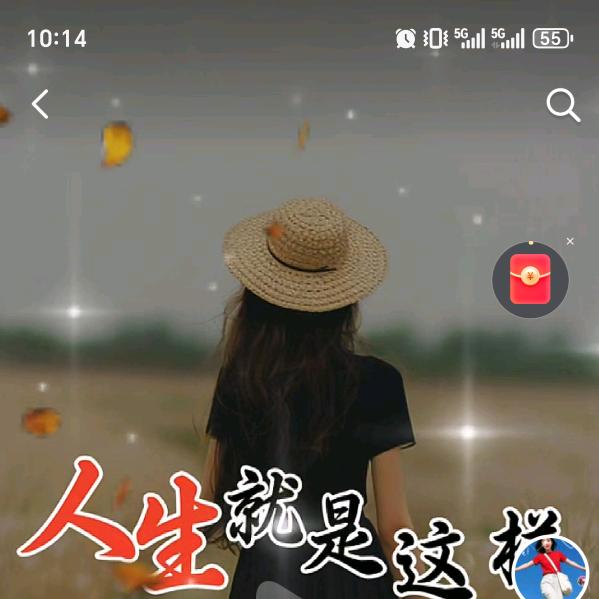 来生不再相遇