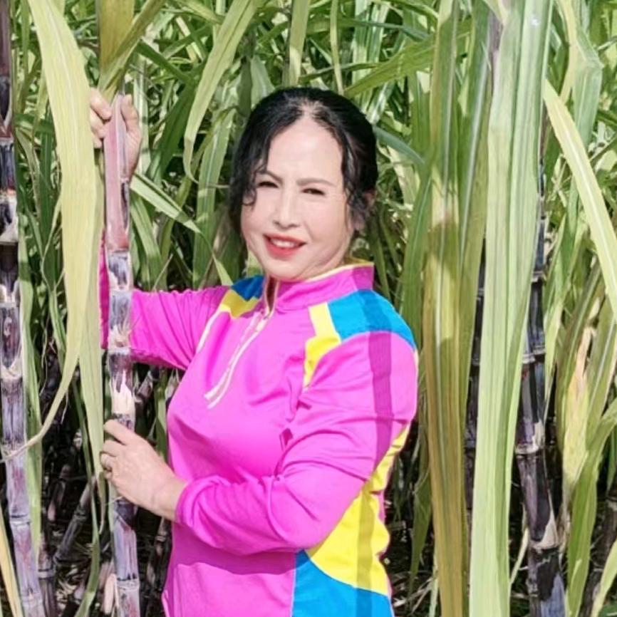 陈姐  小号  上午  10点30分开播
