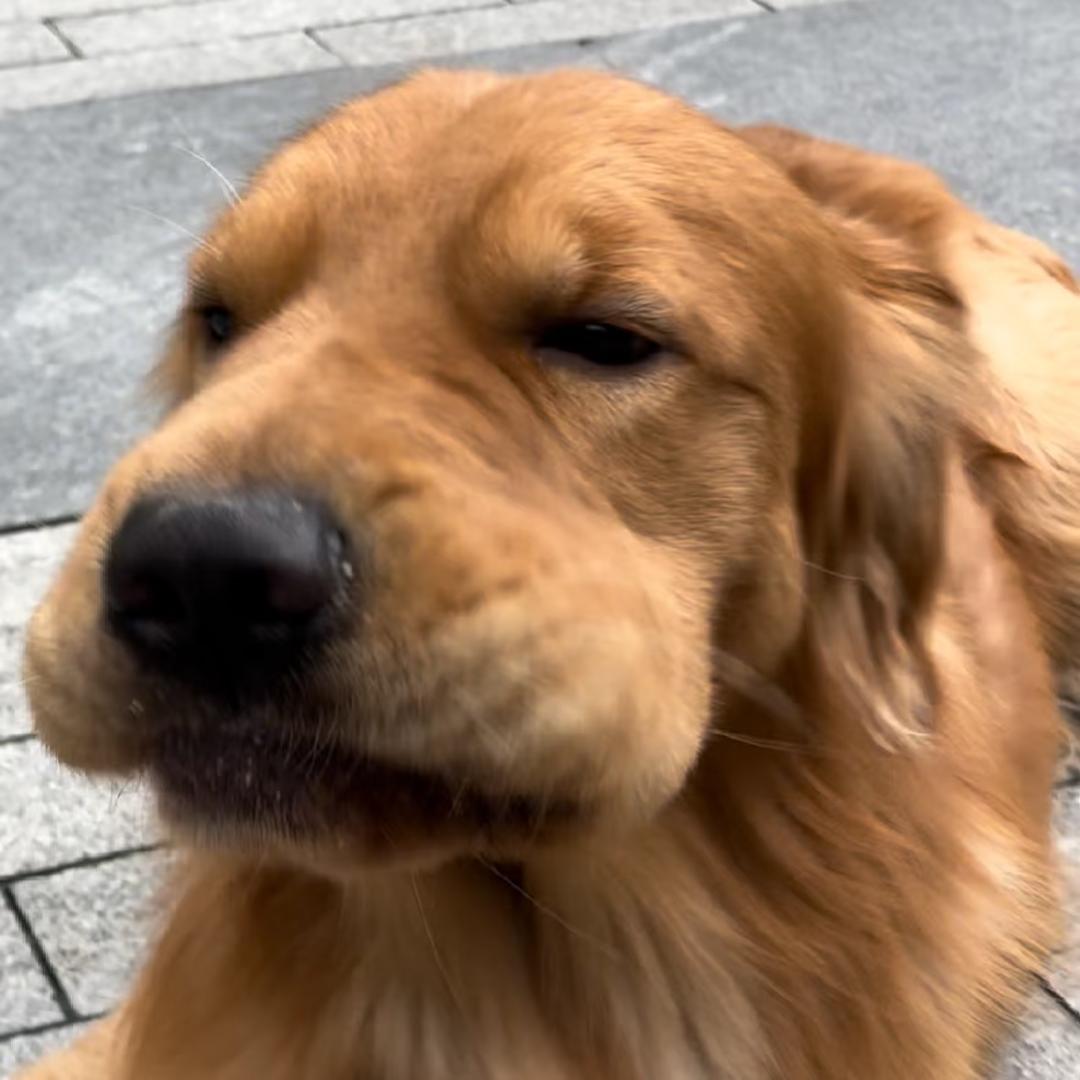 是我卜卜卜