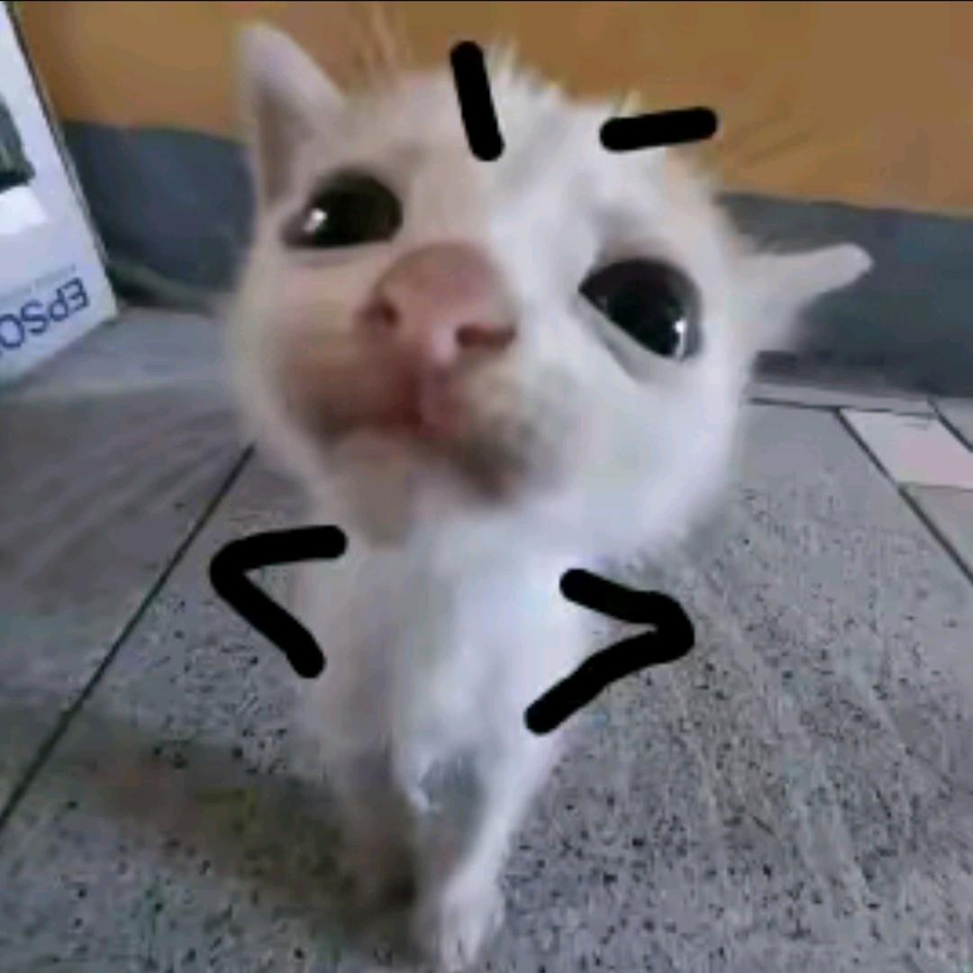 我GG bond了