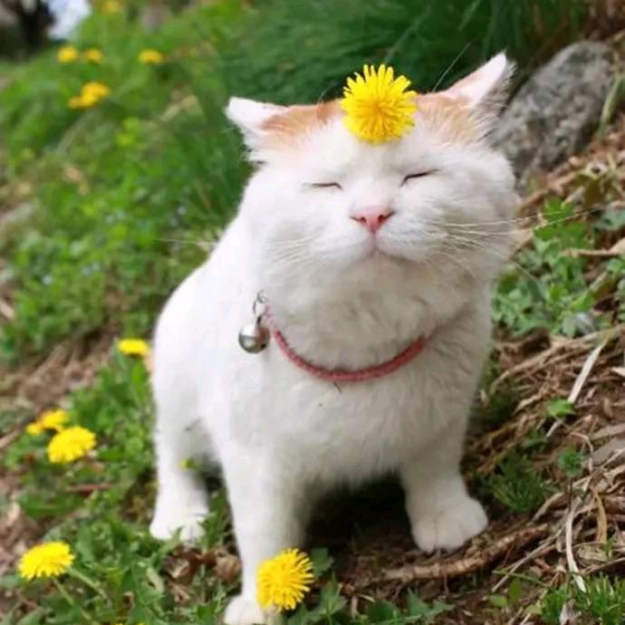 快乐游戏