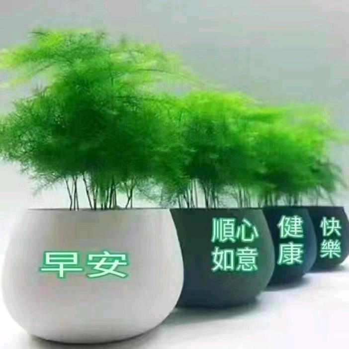 诊贵