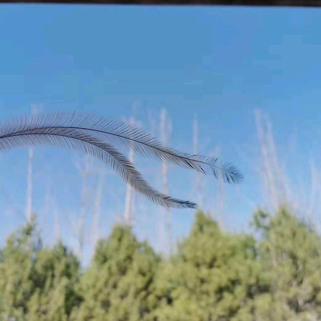 এ᭄七   圆