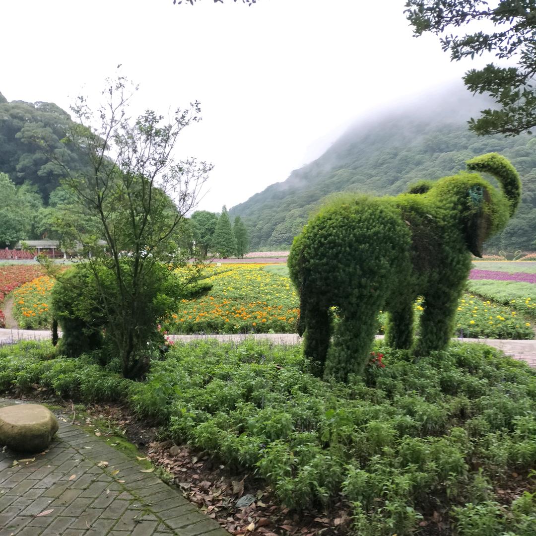 一千零一叶回忆的漩涡我深陷其中不能自拔提