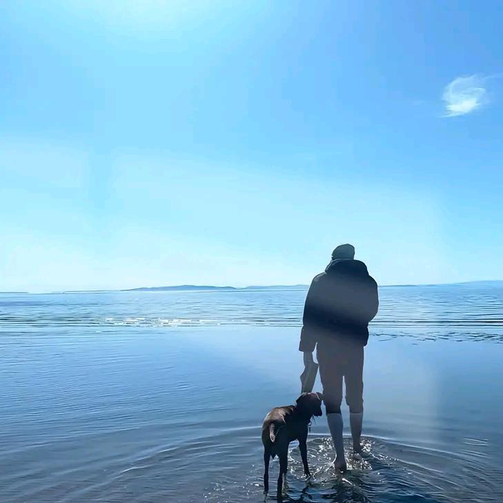 英雄没有闪-教授