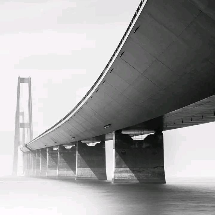 陈小阳