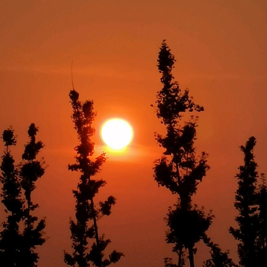 魏县阳光曳步舞…花