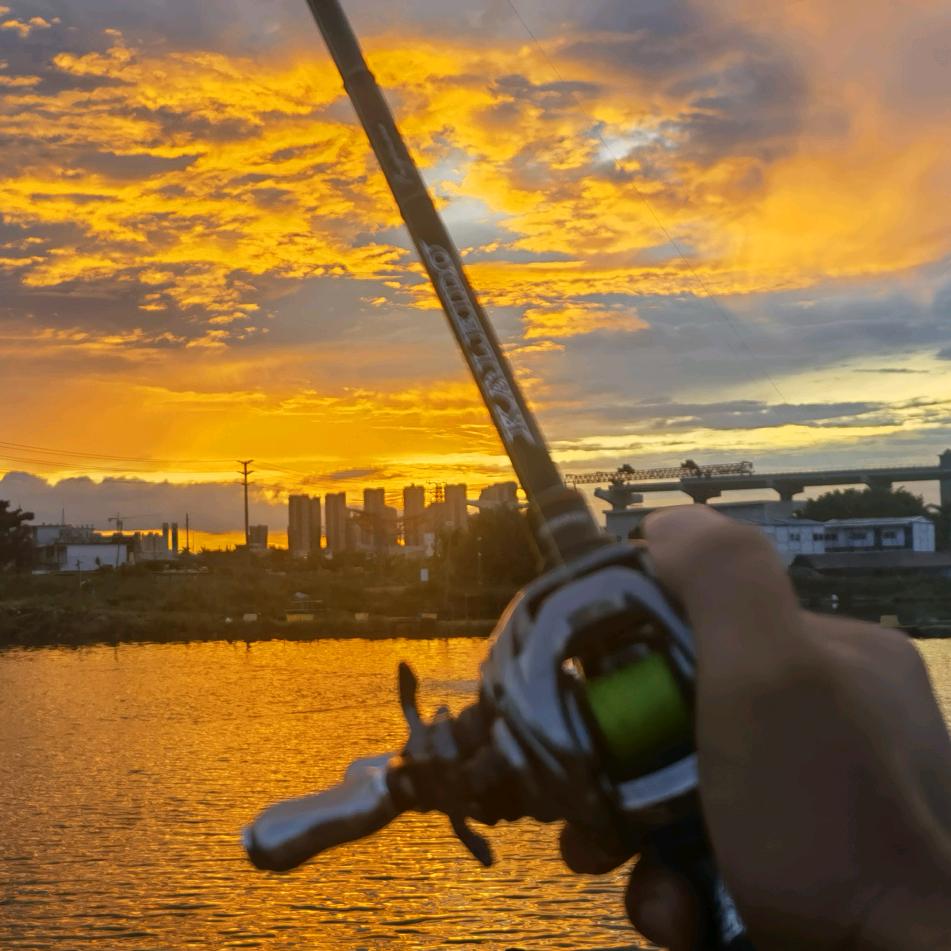 @刘伟挖掘机出租土方出售