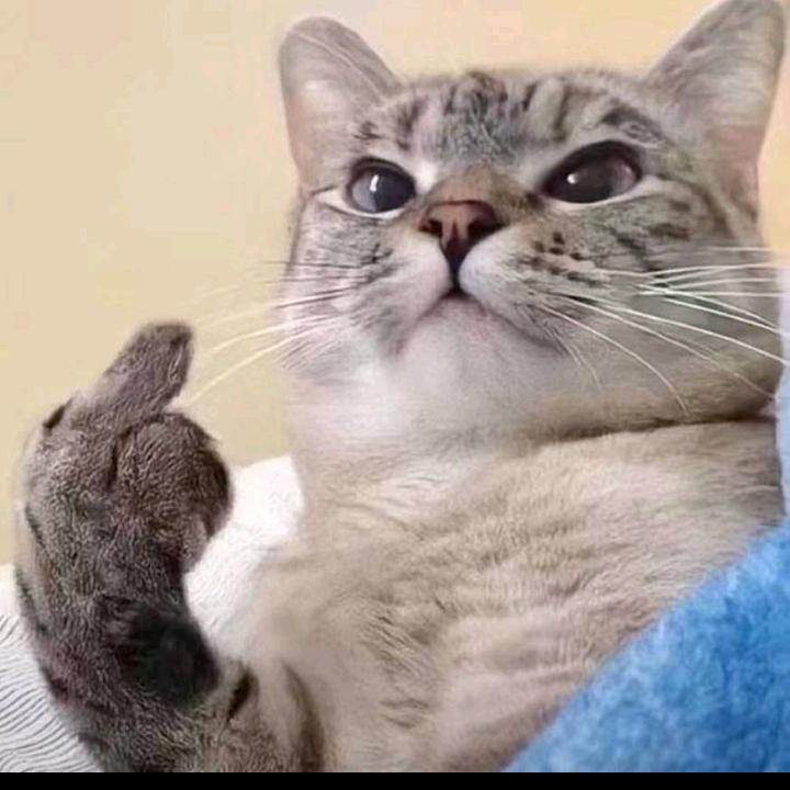 一口蛋黄…酥…👀