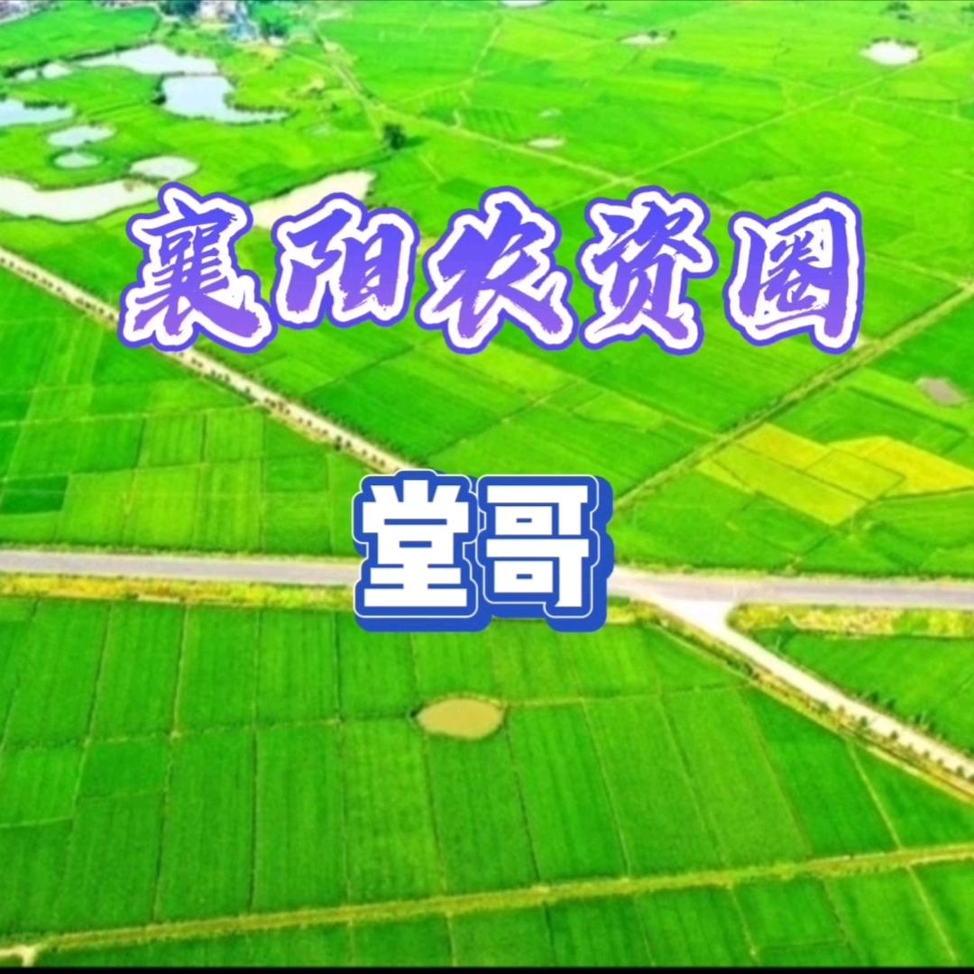 襄阳农资圈（堂哥）