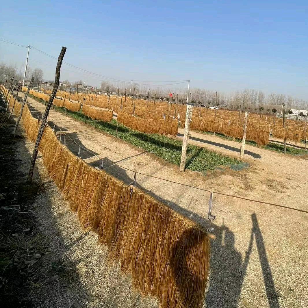 沂蒙山红薯粉条厨匠严选