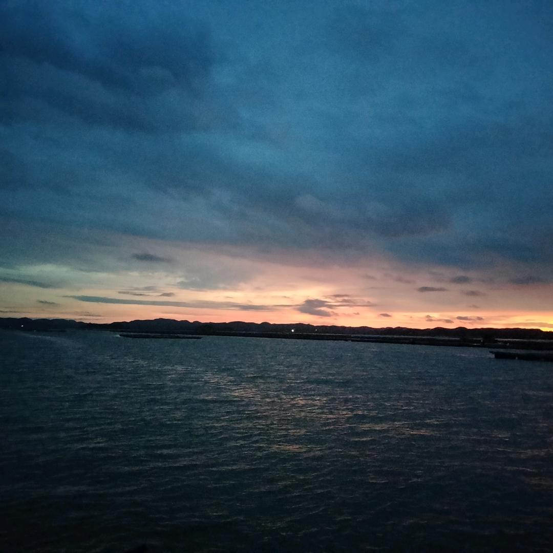 跳跳鱼🐠ﻬঞ꧔ꦿ