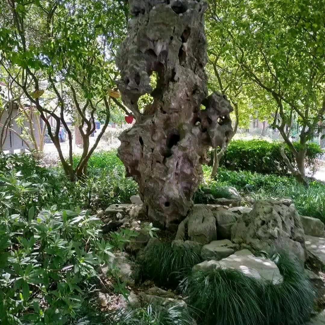 ㇏㇏