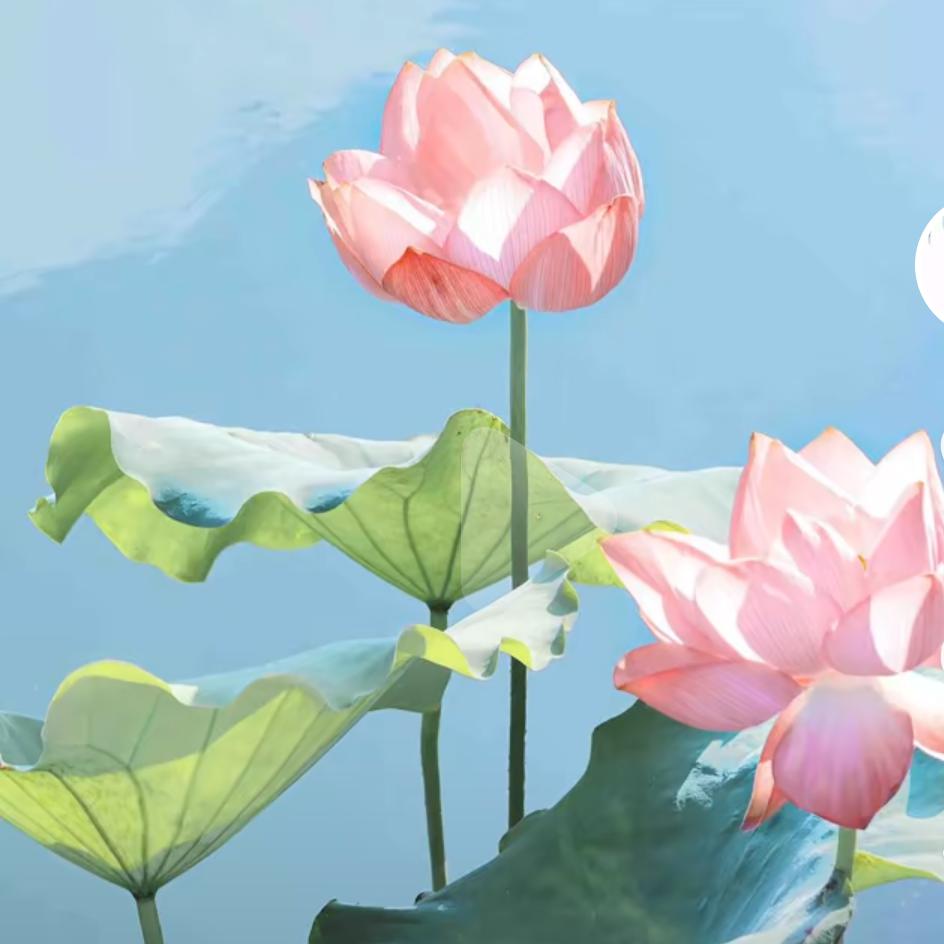 顺其自然
