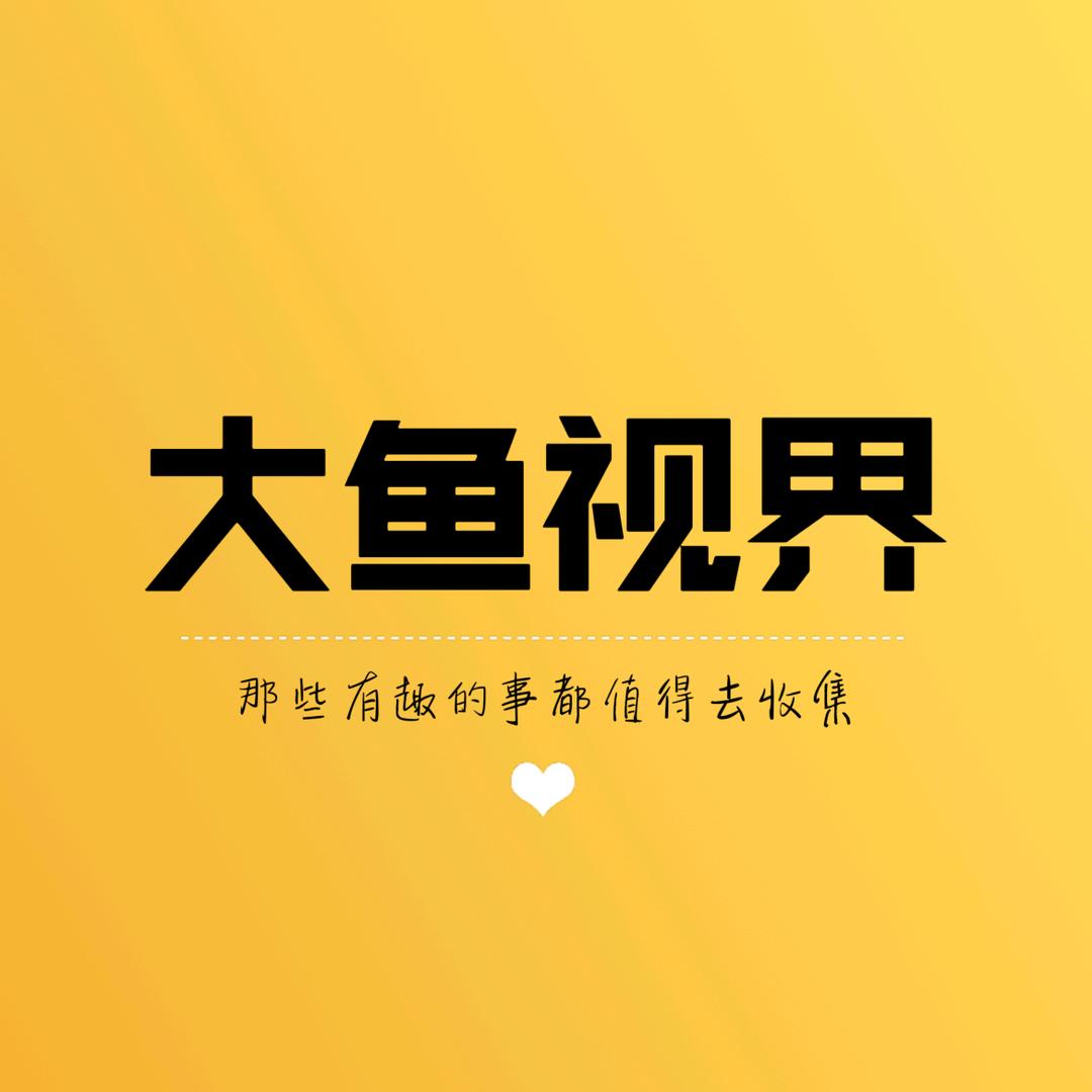 大鱼视界