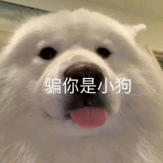饥荒明月