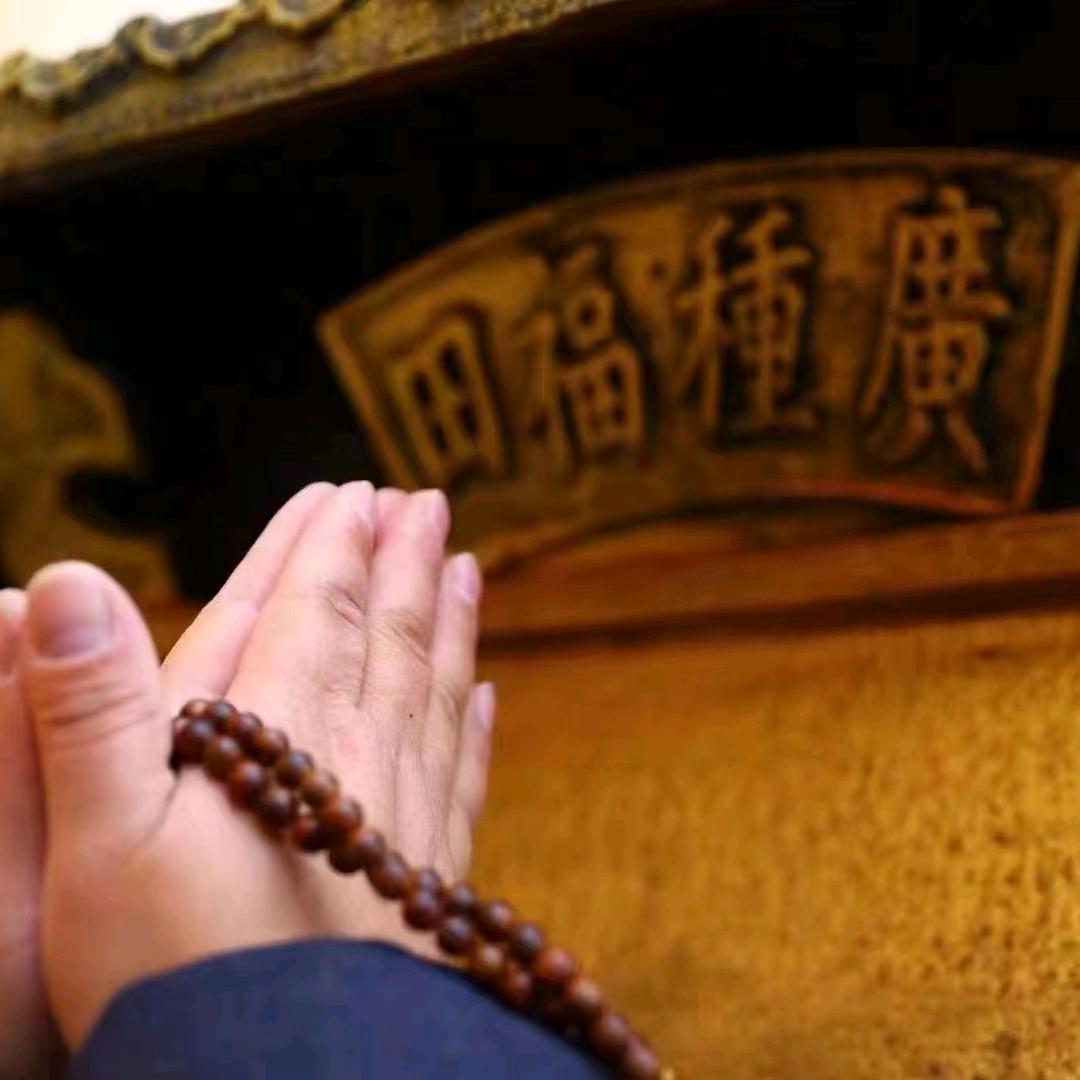 听师父说佛