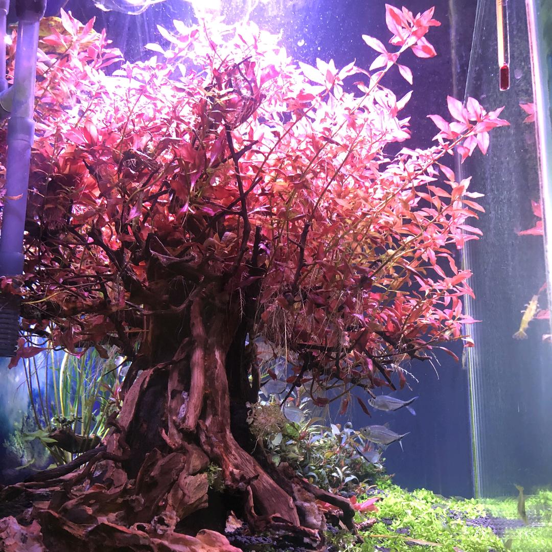 看热闹不嫌事大