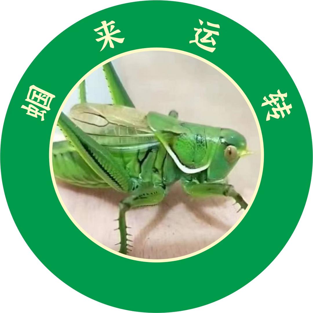 蝈来运转
