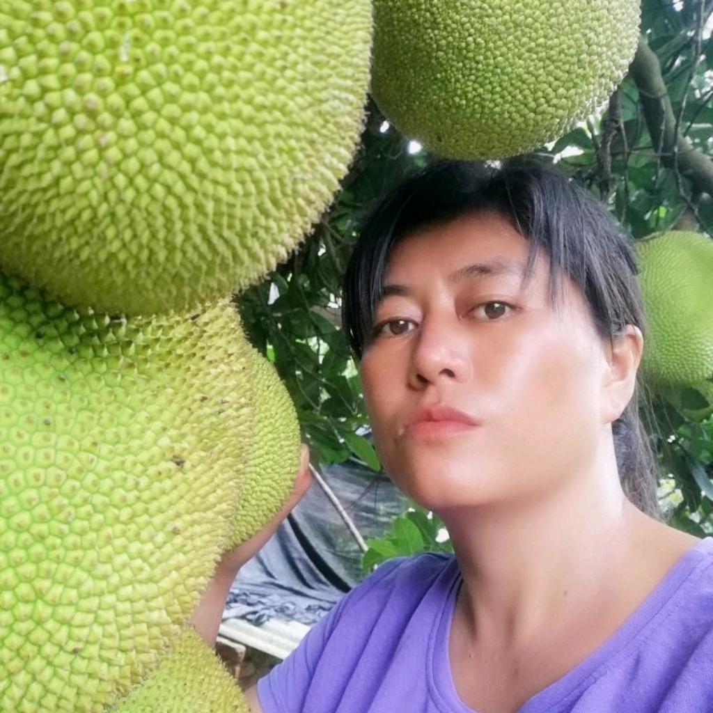 孟连果树苗木专营店