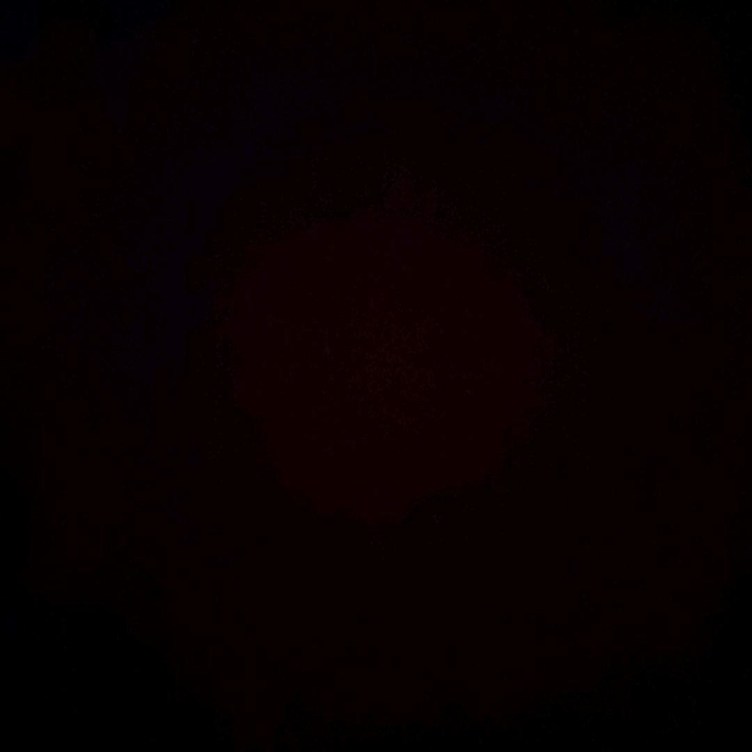 龙哥到此一游