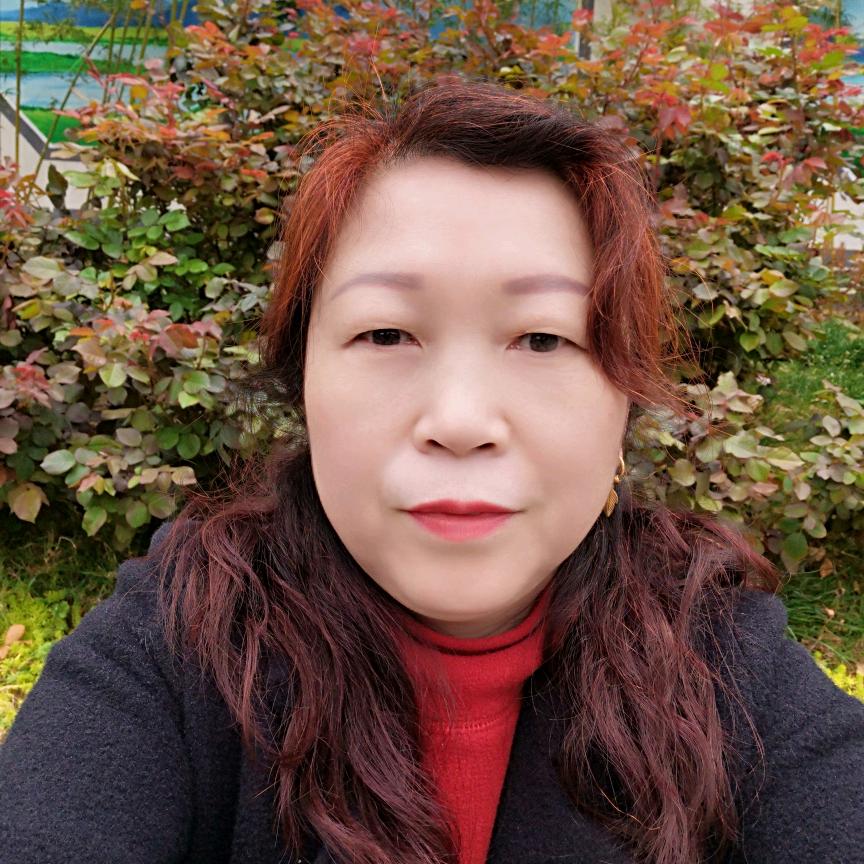 河南项大姐