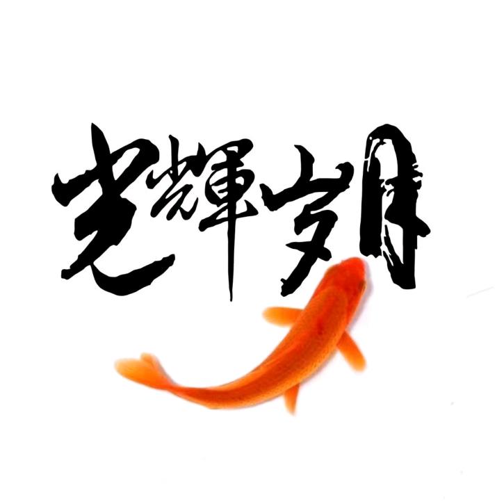 光辉岁月 一起加油
