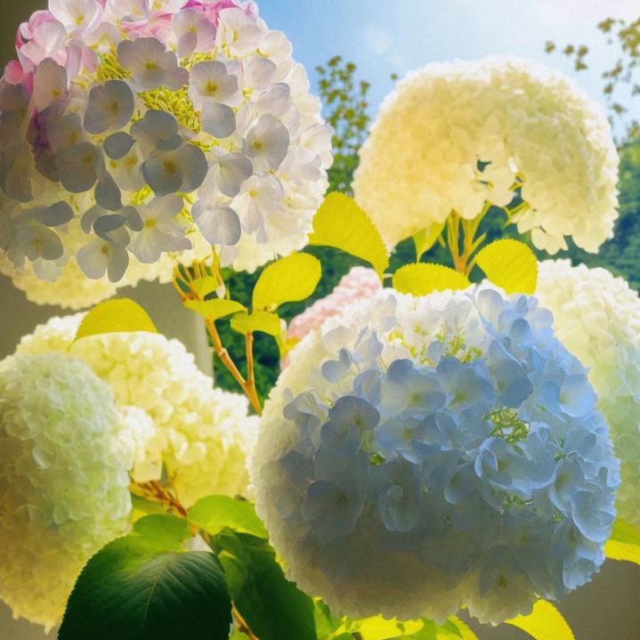 飘逸