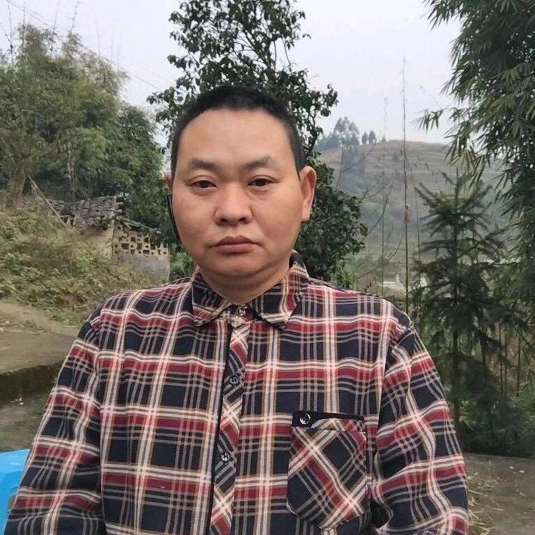 海哥不常在线