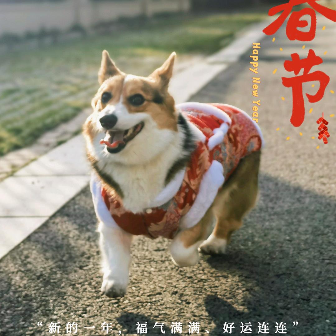 暴富是个小基