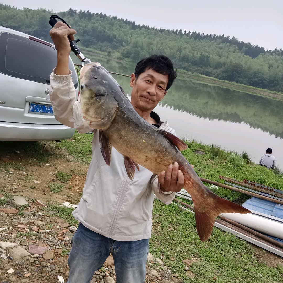 泾县月亮冲钓场