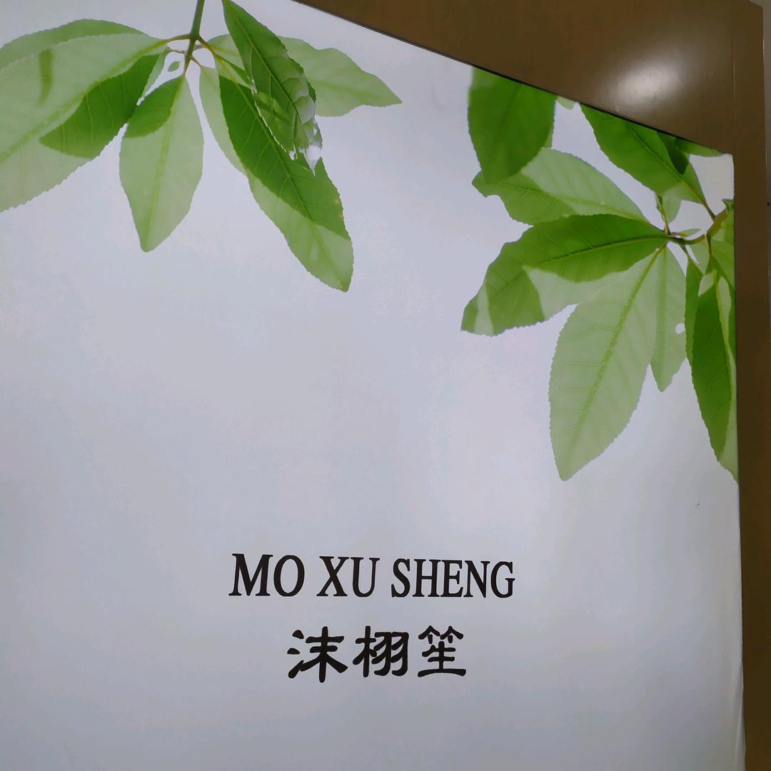 夜空中最亮的星-沫栩笙