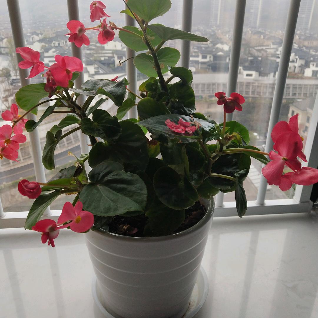 健康第一